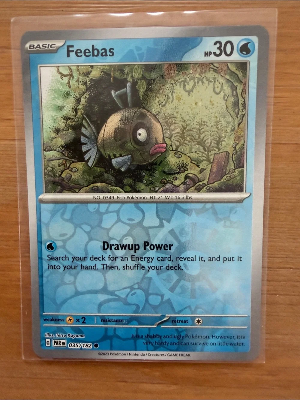Feebas & Milotic Evolution Lot | 4 Pokémon Cards | Reverse Holo ✨5/$25✨